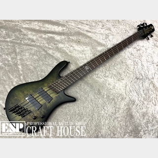 Spector NS Dimension 5 MS / Haunted Moss Matte