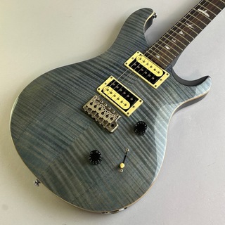 Paul Reed Smith(PRS) SE CUSTOM 24 N　WB