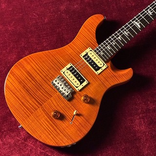 Paul Reed Smith(PRS) SE Custom
