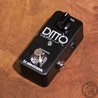 tc electronic Ditto Looper