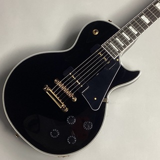 Bacchus DUKE-CTM Alnico