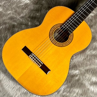 Takamine No20