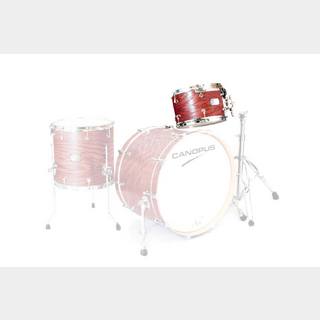 canopus CANOPUS Ash 8x12 Tom Vermilion Oil