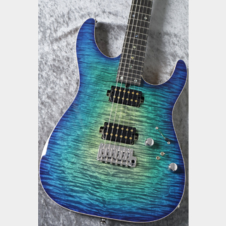 T's Guitarsの検索結果【楽器検索デジマート】