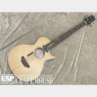 GrassRoots：G-ACの検索結果【楽器検索デジマート】