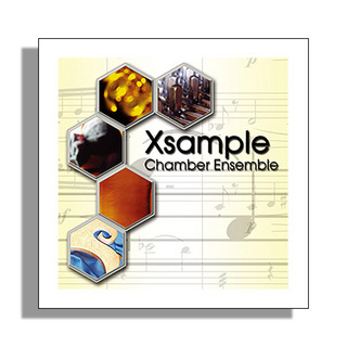 best service XSAMPLE CHAMBER ENSEMBLE DL [メール納品 代引き不可]