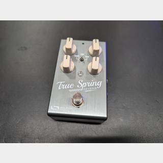 Source Audio SA247 True Spring Reverb