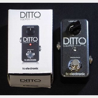 tc electronic Ditto Looper【中古品】