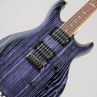 Paul Reed Smith(PRS)SE Swamp Ash CE 24 Sandblasted Limited / Sandblasted Purple