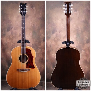 Gibson1968 J-50