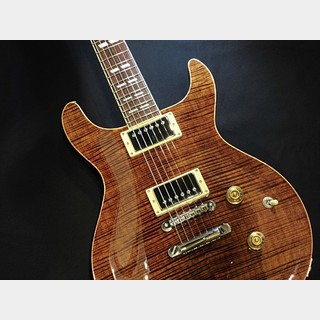 Wisdom Guitars DC5s / Brown Amber【美品オススメ中古 !! 】