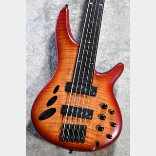 ibanez srの検索結果【楽器検索デジマート】