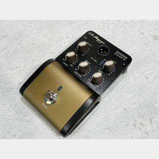 L.R.Baggs Session DI