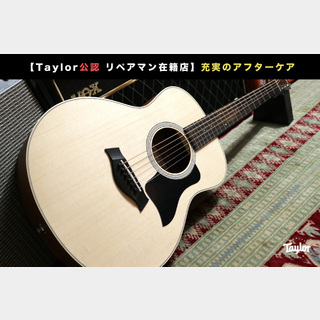 TaylorGS-Mini Sapele 【Taylor公認 リペアマン在籍店】