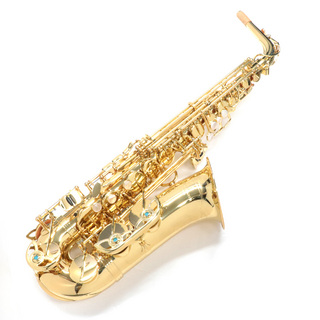 YANAGISAWA アルトサックス A-WO1
