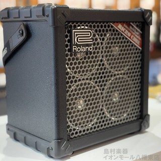 Roland MICRO CUBE RX