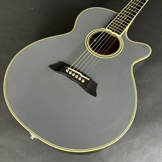 アコースティックギター、Takamineの検索結果【楽器検索デジマート】