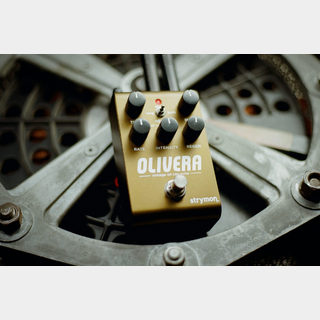 strymon OLIVERA