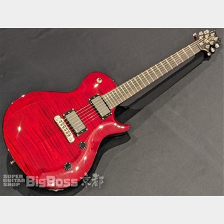 Paul Reed Smith(PRS)SE Nick Catanese Model / Scarlet Red