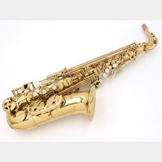 Antigua AS STANDARD GL 【梅田店】