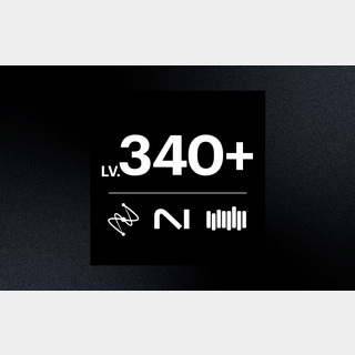 NATIVE INSTRUMENTS LEVEL 340+ 日本限定/セール期間限定