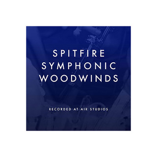 SPITFIRE AUDIO SPITFIRE SYMPHONIC WOODWINDS A1731 【代引き・返品不可】【ダウンロード版】