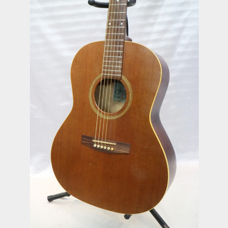 Seagullの検索結果【楽器検索デジマート】 ❤️弦高調整済「シーガル