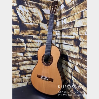 クラシック・ギター／フラメンコ・ギター【楽器検索デジマート】