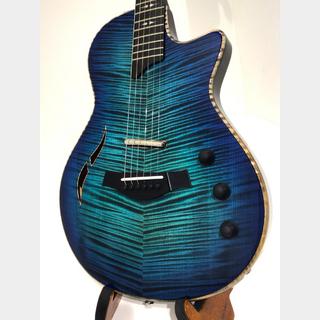 Taylor、T5zの検索結果【楽器検索デジマート】