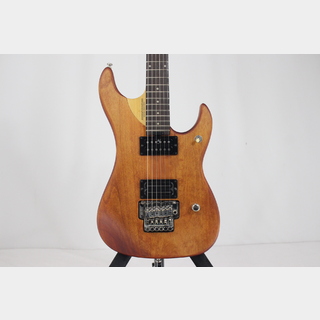 Washburn N3