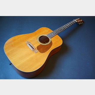 Martin D-25K