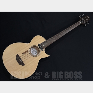 アコースティック・ベース／エレアコ・ベース、フレットレスの検索結果