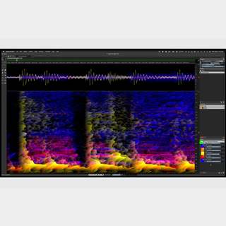 Steinberg SpectraLayers Elements 11 [通常版] (SPECTRALAYERS ELE/R)【WEBSHOP】