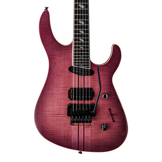 Caparison、TAT Special FMの検索結果【楽器検索デジマート】