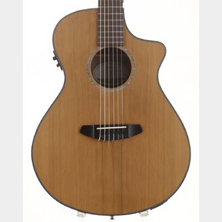 Breedlove Pursuit Nylon PSN31CE 【池袋店】