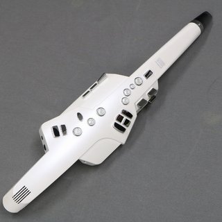 Roland エアロフォン AE-10【御茶ノ水本店】