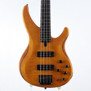 YAMAHA TRBX604FM Matte Amber 【心斎橋店】
