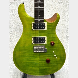 Paul Reed Smith(PRS) SE Custom 24 -Eriza Verde-【CTI G005752】【3.47kg】