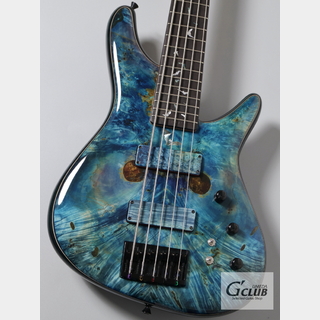 エレクトリック・ベース、Sugi、NB5の検索結果【楽器検索デジマート】