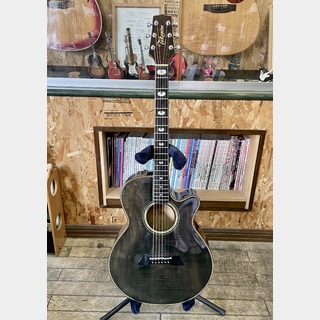 エレクトリック・アコースティックギター、Takamineの検索結果