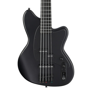 Ibanez Talman Bass Standard TMB425B-BKF (Black Flat) 【漆黒のタルマンベース】【送料無料!】