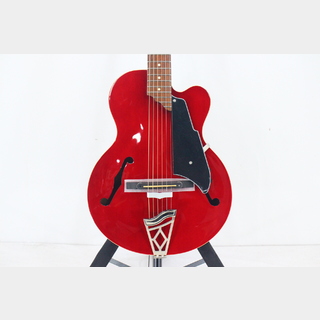 アコースティックギター／エレクトリック・アコースティックギター