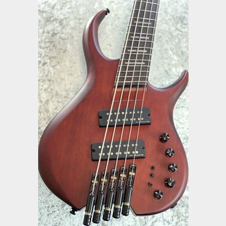 エレクトリック・ベース ＞ 変形タイプの検索結果【楽器検索デジマート】