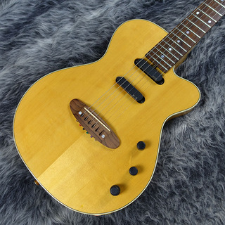 Carruthers Guitars ACS Model