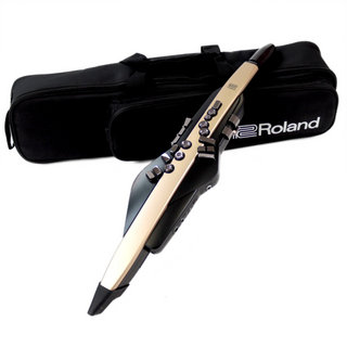 Roland 【中古】 デジタル管楽器 エアロフォン Roland AE-20SC Aerophone ウィンドシンセサイザー ローランド