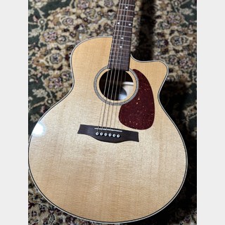 Seagull PerformerCWMiniJ【USED】