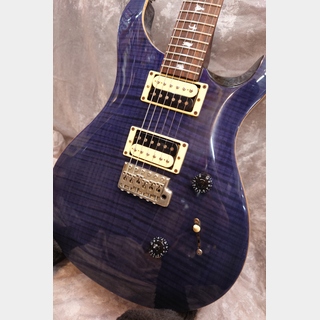 Paul Reed Smith(PRS) SE CUSTOM 24