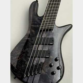 Spector 【48回無金利】NS Dimension MS 5 GROSS -Translucent Black-【NEW】