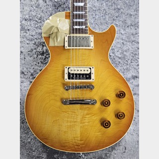 エレクトリックギター ＞ レスポールタイプ、Navigator、N-LPの検索