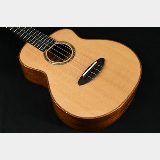 aNueNue aNN-UT100 Sitka Bird All Solod-Sitka Spruce American Mahogany Ten